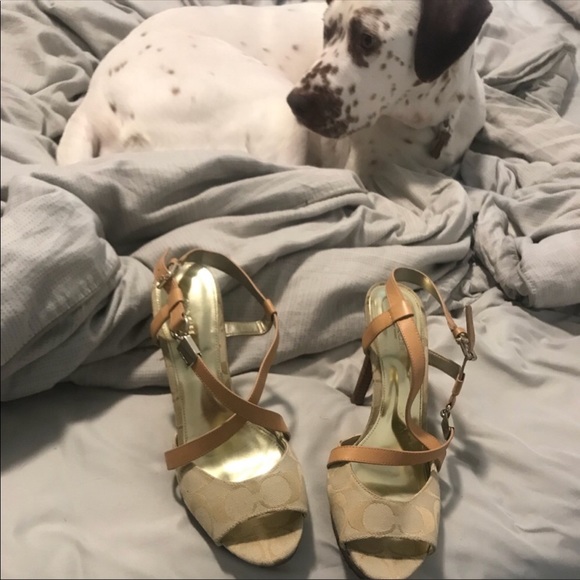 Gorgeous Coach Heels - Picture 2 of 3